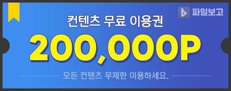 파일보고