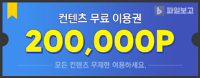 파일보고