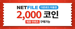 넷파일N