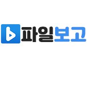 파일보고