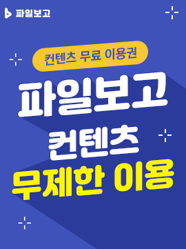 파일보고