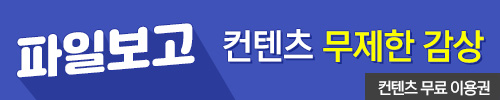 파일보고