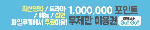 파일쿠키
