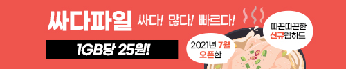 싸다파일