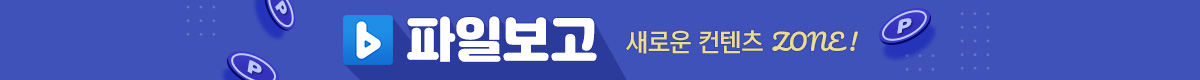 파일보고