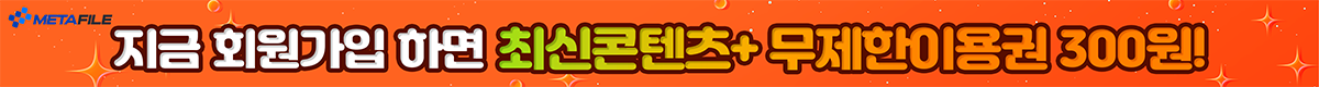 메타파일