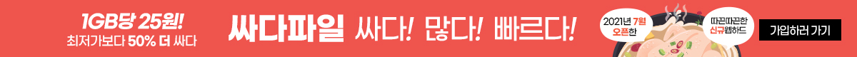 싸다파일